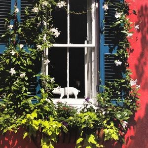 Photography Art Canvas 20x16